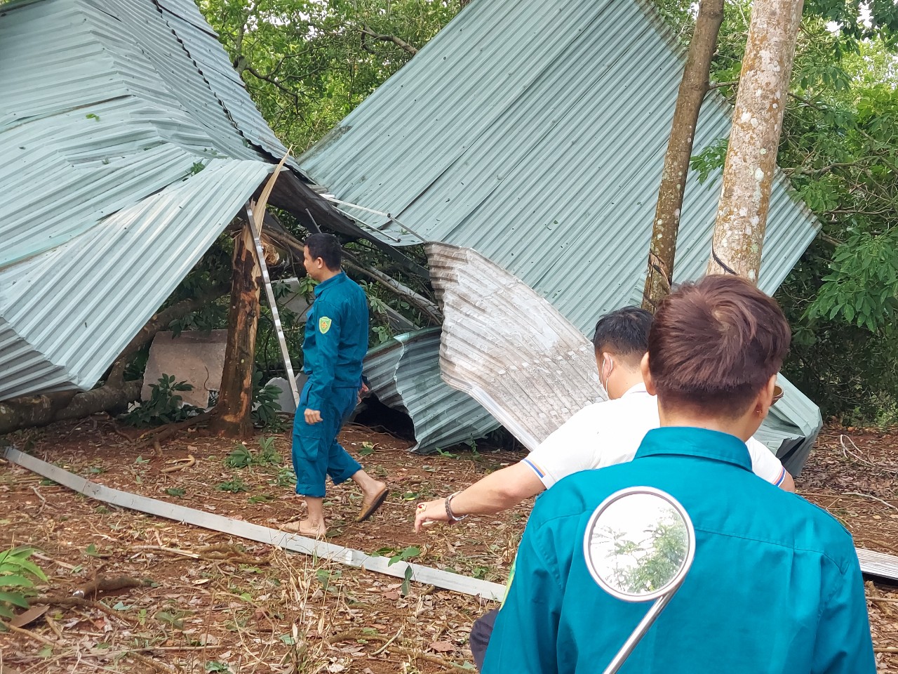 Mưa lớn kéo lốc xoáy khiến nhiều nhà cửa, cây trồng bị tốc mái, đổ sập tại huyện Phú Riềng.