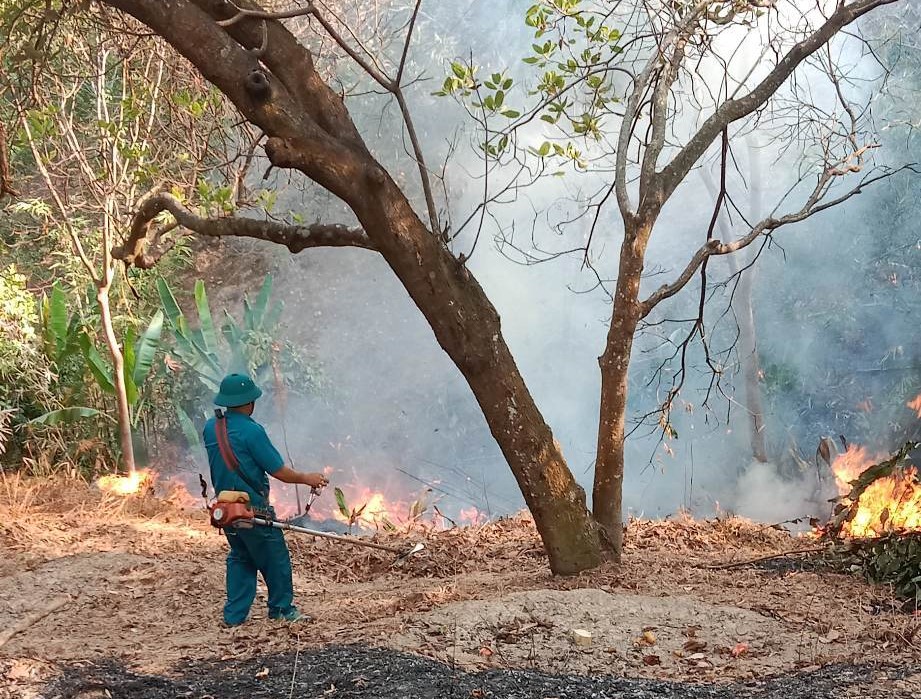 Kịp thời khống chế đám cháy tại vườn cao su thôn Phú Tiến, xã Phú Trung.