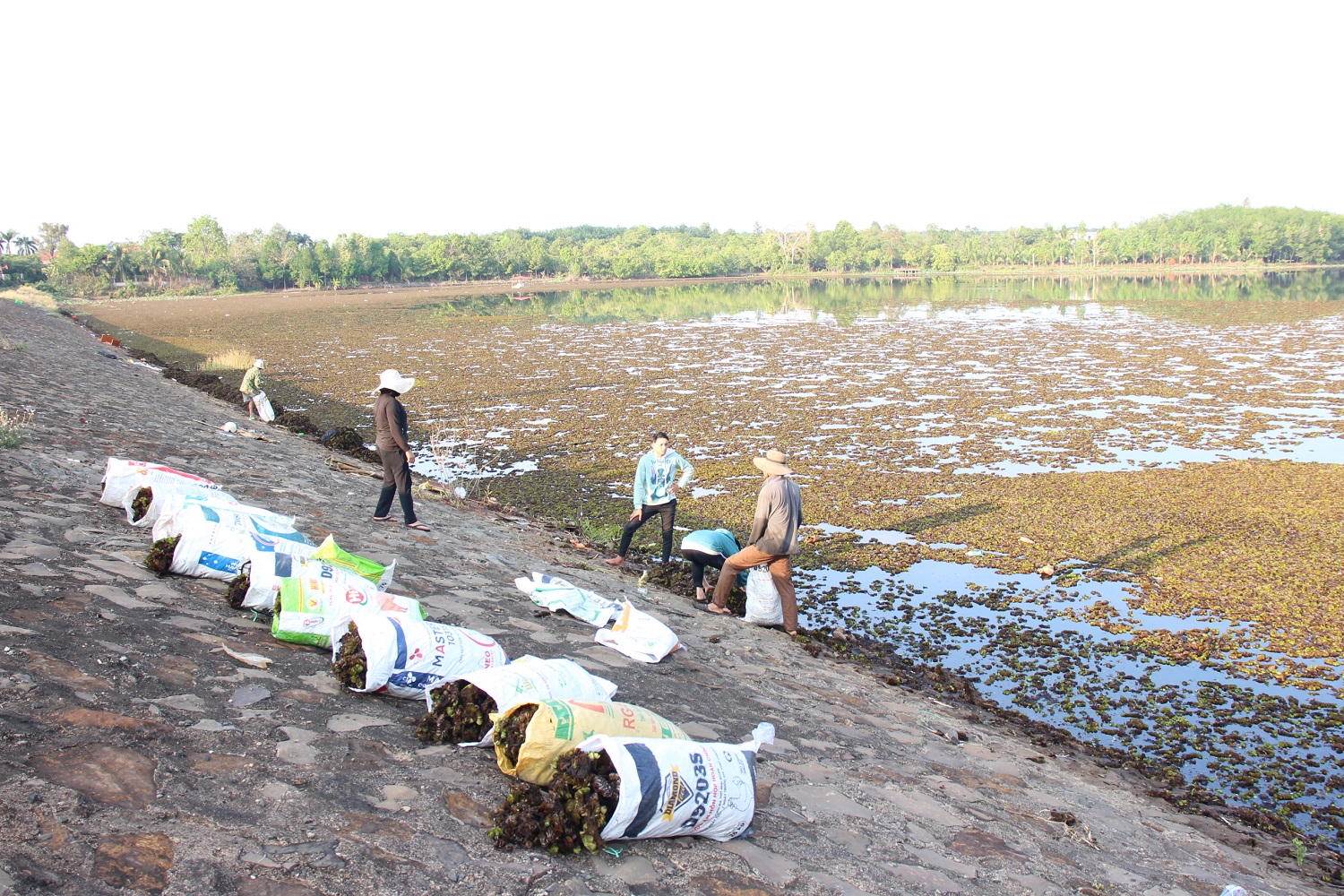 Người dân chung tay làm sạch hồ nước xã Long Tân.