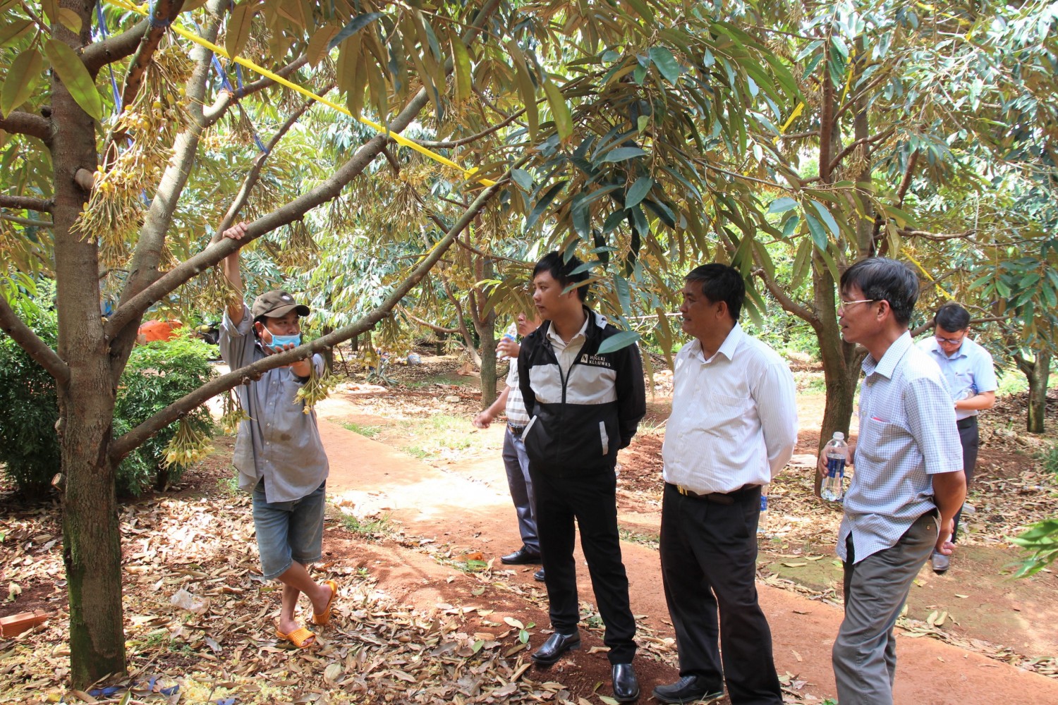 Sở Khoa học Công nghệ khảo sát các Hợp tác xã trên địa bàn huyện Phú Riềng.