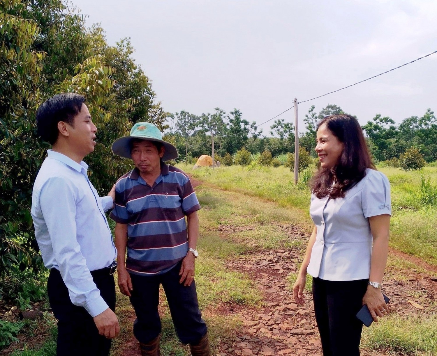 Bí thư Huyện ủy Nguyễn Thị Xuân Hòa thăm HTX cây ăn trái xã Bình Tân