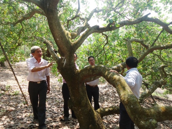 Hội nông dân xã Phú Riềng tổ chức thăm quan, học hỏi kinh nghiệm các mô hình tiêu biểu