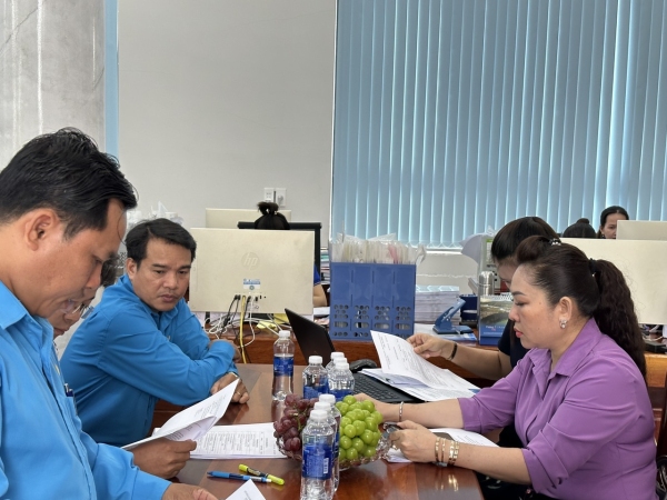LĐLĐ tỉnh kiểm tra chấp hành Điều lệ Công đoàn Việt Nam và quản lý tài chính, sử dụng tài sản công đoàn