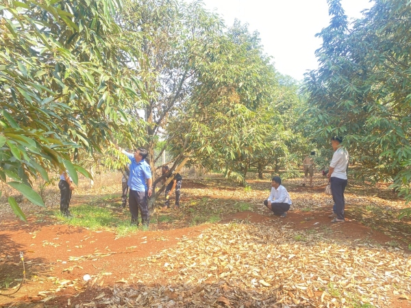 Nông dân xã Long Tân được trang bị kiến thức chăm sóc cây sầu riềng.