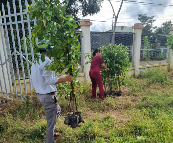 Các tổ chức, cá nhân trên địa bàn huyện Phú Riềng được bàn giao cây giống lâm nghiệp.