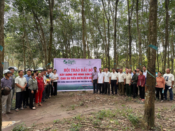 Hội thảo đầu bờ xây dựng mô hình sản xuất cao su tiểu điền bền vững năm 2024.