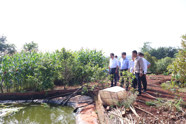 Phú Riềng kiểm tra các hộ chăn nuôi trên địa bàn xã Long Bình.